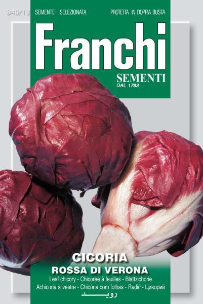 Franchi Seeds Chicory or Radicchio Cicoria Rossa Di Verona seed
