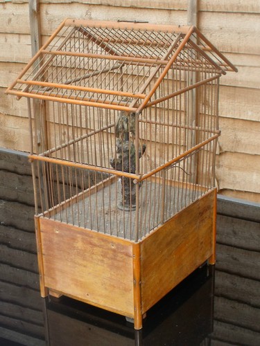 Superb Victorian taxonomy automaton singing bird in a cage bellows music box