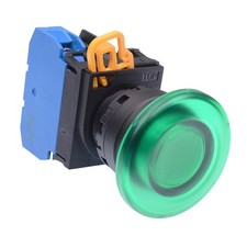 IDEC Green 24V illuminated 22mm Momentary Push Button Switch 2NO YW1L-M2E20Q4G