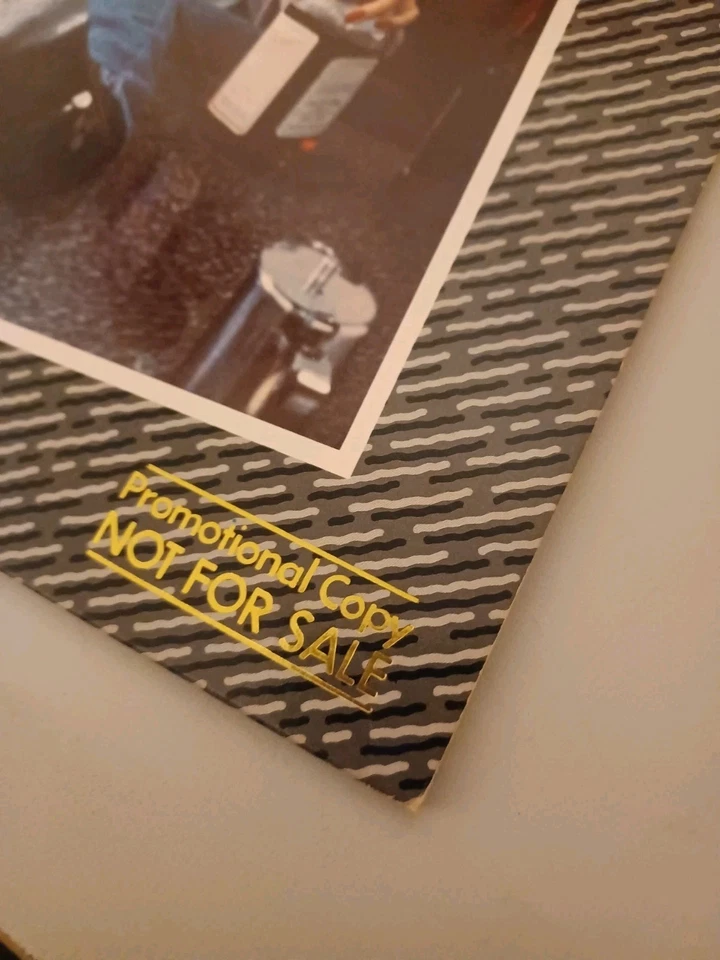 Hank Williams Jr. Rowdy Rare Promo Vintage Vinyl LP 1981 Elektra Record  - Image 2 of 4