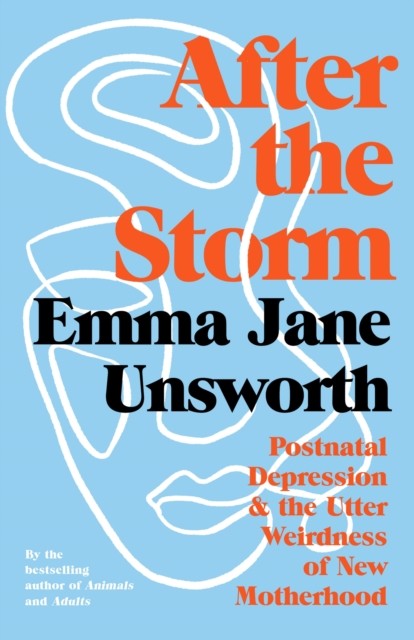 After the Storm by Emma Jane Unsworth (Hardback Book)