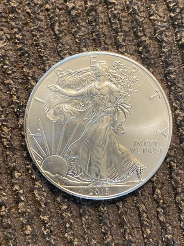 2013 American Silver Eagle 1 Troy oz .999 Fine Silver Uncirculated Flawless Gem