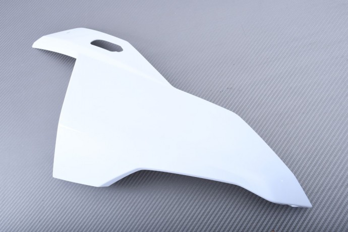 Tête de Fourche Droite BMW S 1000 RR 2019-2022 | Plastique ABS Haut de Gamme