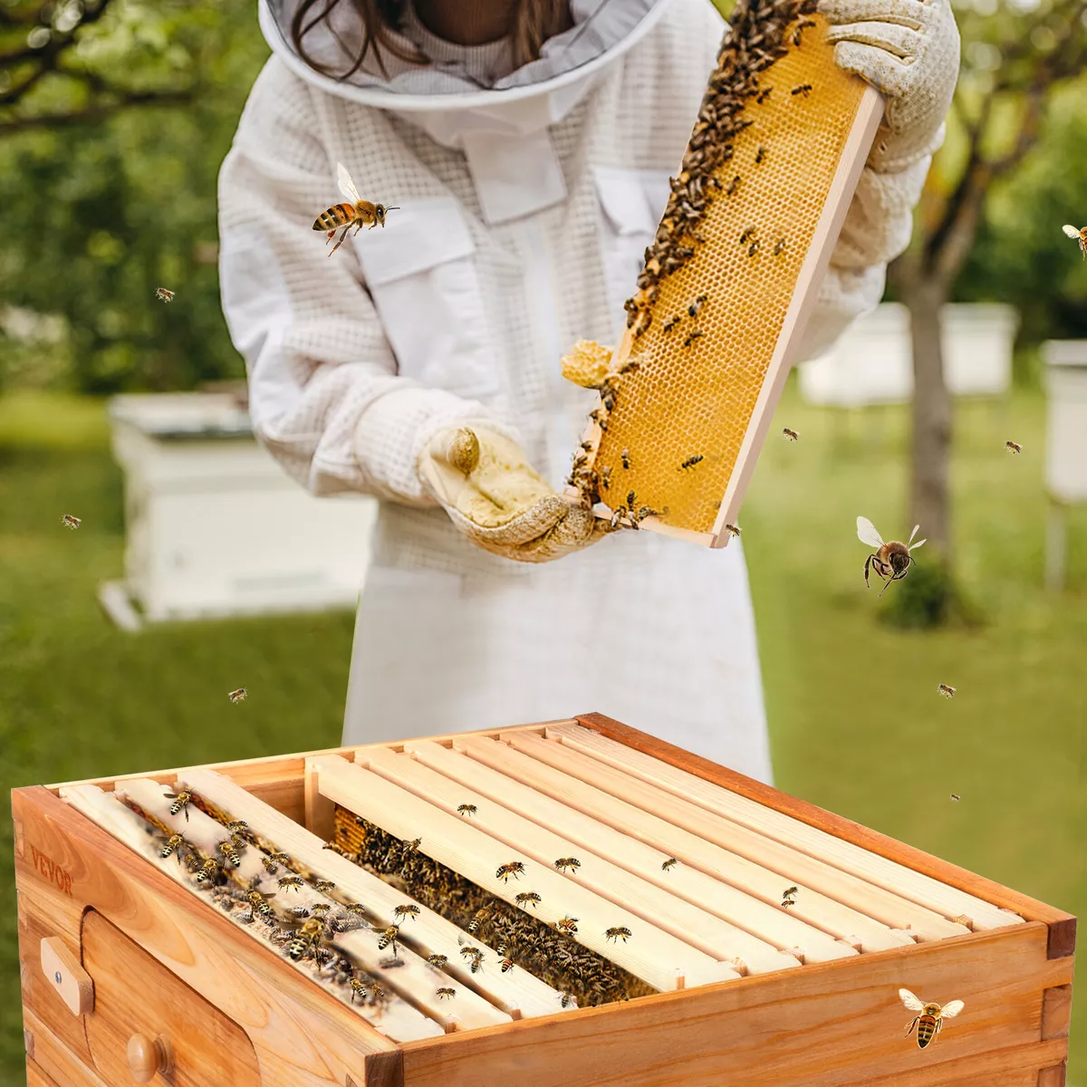 Why so many new beekeepers quit - Honey Bee Suite