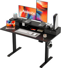 48 X 23 Inches Electric Standing Desk with 2 Storage Drawers, Adjustable Height