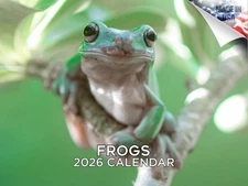 Frogs Calendar 2026 12x18 Made in USA