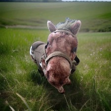 London International Horse Show 2025 Spielzeug Pferd Plüschtier Stofftier Geschenk