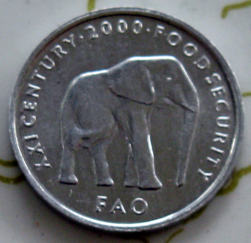 COIN SOMALIA 5C 2000 BU FAO 2201-182