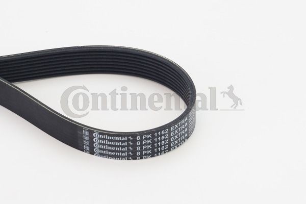 Keilrippenriemen Continental Ctam 8PK1162 Extra FÜR BMW Poly V Riemen-image