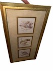 Foto 3 di 9