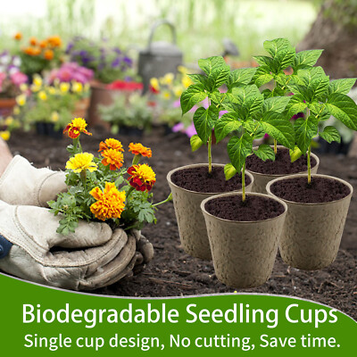#ad Garden Seed Starter 50PCS Biodegradable Pulp Seedling Cups Environmentally 6 8CM $16.90