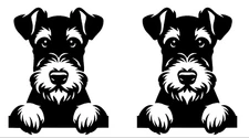 Airedale Terrier 2 PK Black Vinyl Decals Car Window Laptop Tablet Mailbox Bumper