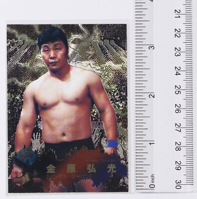HIROMITSU KANEHARA - 1998 BBM Pro-Wrestling Trading Holo Card | eBay