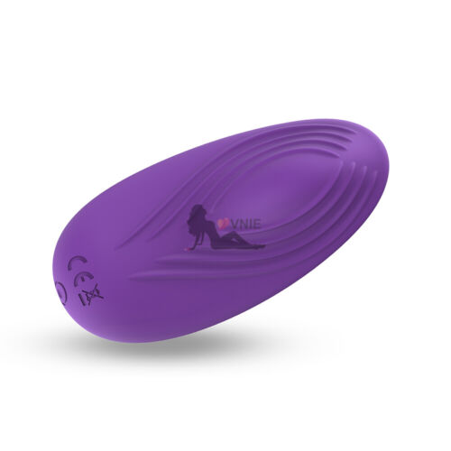 Remote Control Panties Vibrator Wearable Clitoris Massager Sex Toys for Women - Picture 4 of 12