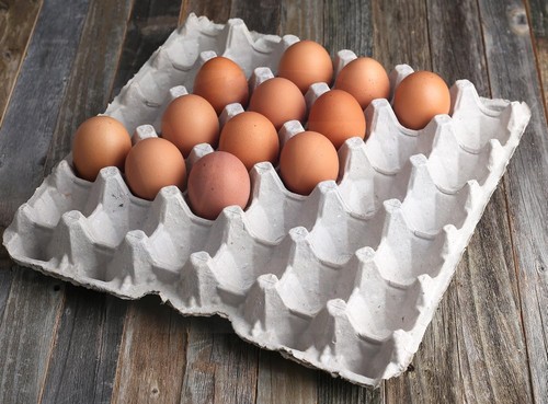 Multipurpose Egg Flats in Biodegradable Pulp Fiber - 15 Pack for Home & Hobby - Picture 4 of 11