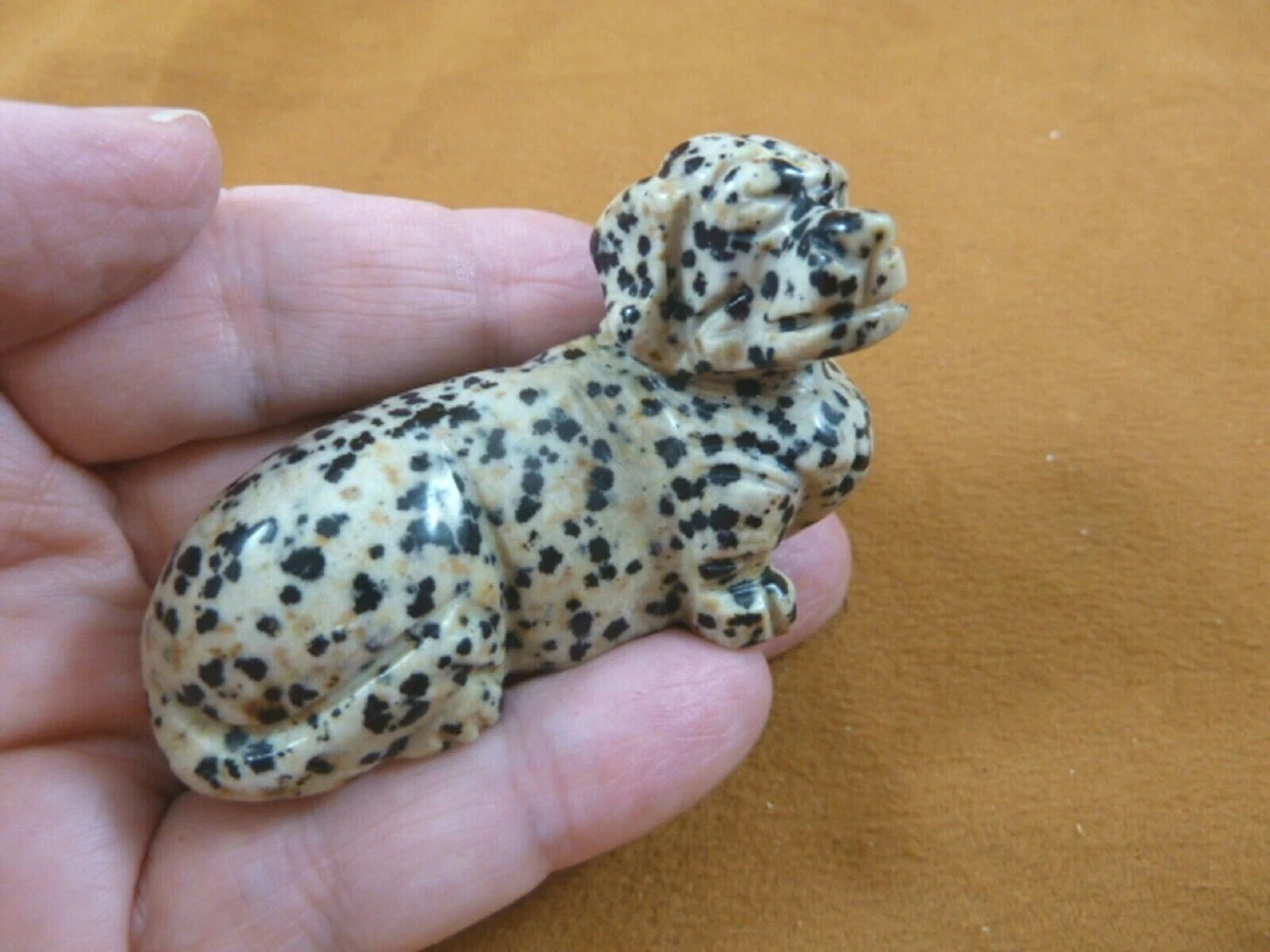 Dalmatian weiner cheap dog