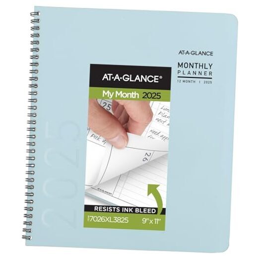 2025 Large Monthly Planner 9x11 Contemporary Sky Blue Edition