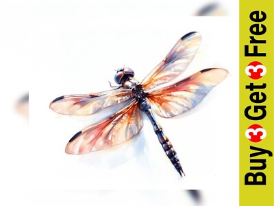 Elegante Libelle Studie 5''x7'' Druck auf mattem Papier | Naturinspirierte Kunstwerke