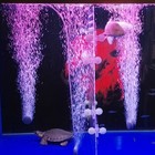 Foto 3 di 7