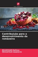 Belkessam Nafissa (U. A.) | ContribuiçãO Para O Desenvolvimento Da RomãZeira