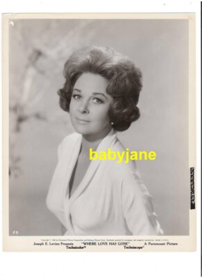 SUSAN HAYWARD ORIGINAL 8X10 PHOTO 1964 LOVELY PORTRAIT WHERE LOVE HAS