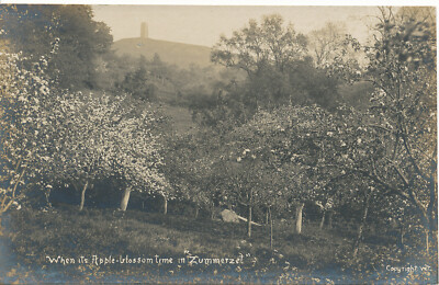 PC15320 When Its Apple Blossom Time In Zummerzet. RP