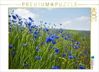 Calvendo Puzzle Cornflowers - The Allure Of Blue | 2000 Pieces, Finished Size 35