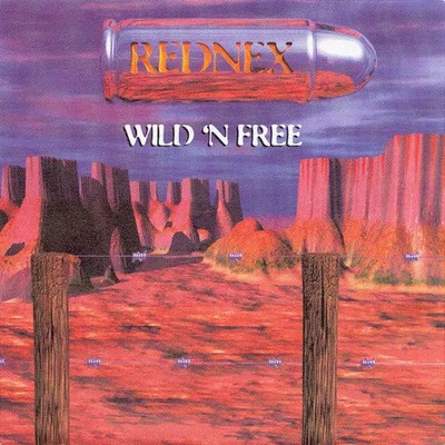 Rednex Wild N Free Vinyl Single 7inch NEAR MINT Zyx