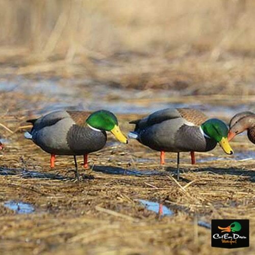 Avery Greenhead Gear GHG Dog Training ATB EZ Bird Wood Duck Dummy Bumper | Acquisti Online Su - Foto 9