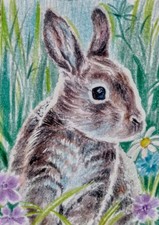 ACEO Rabbit watercolor  by the author original 3,5