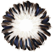 Feelfunfeather 240Pcs Duck Feathers 4-6 Inch Natural Feather Bulk for Craft Wedd