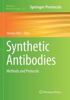 Thomas Tiller | Synthetic Antibodies | Taschenbuch | Englisch (2018) | Xiv