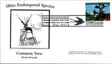 Dayton Oh 1997 Ohio Endangered Species / Common Tern - J30536