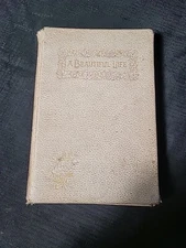A Beautiful Life Memoir Of Mrs J.W.M. Williams By Her Daughter 1894 HC Baptist