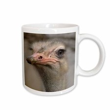 3dRose Silly Cute Ostrich Face Nature Animal Photo Mug