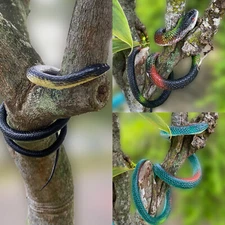 Realistic Rubber Snakes Fake Snakes Snake Toys Garden Props to Scare Birds Prank