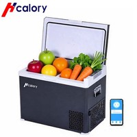 50L Kompressor KüHlbox KüHlschrank Camping Auto -20~ 20℃ App 12V/230V KüHlen