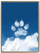Glory To Dog From Your First Hello Pet Loss Bereavement Sympathy Card Veterin...