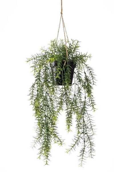 Artplants KüNstlicher HäNger Asparagus Sprengeri Blumenampel Andres Im 50Cm-image