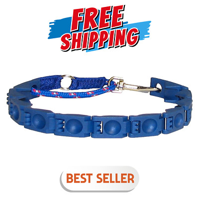Perfect Dog Command Collar