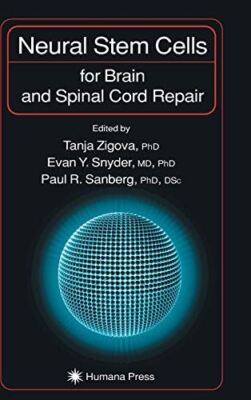 Neural Stem Cells for Brain and Spinal Cord Repair (Contemporary