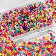 Mini Dried Flowers for Resin,520 Pcs Small 520pcs, Multi Color