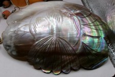 Vintage 1970s Tropical Shell World Belt Buckle Natural Shell Belt Buckle USA