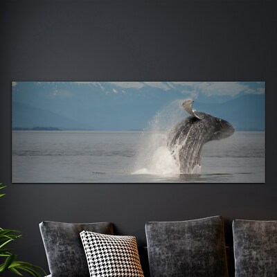 Wand-Bild Kunstdruck aus Hart-Glas Foto-Bild 125x50 Wal in der Meereslandschaft