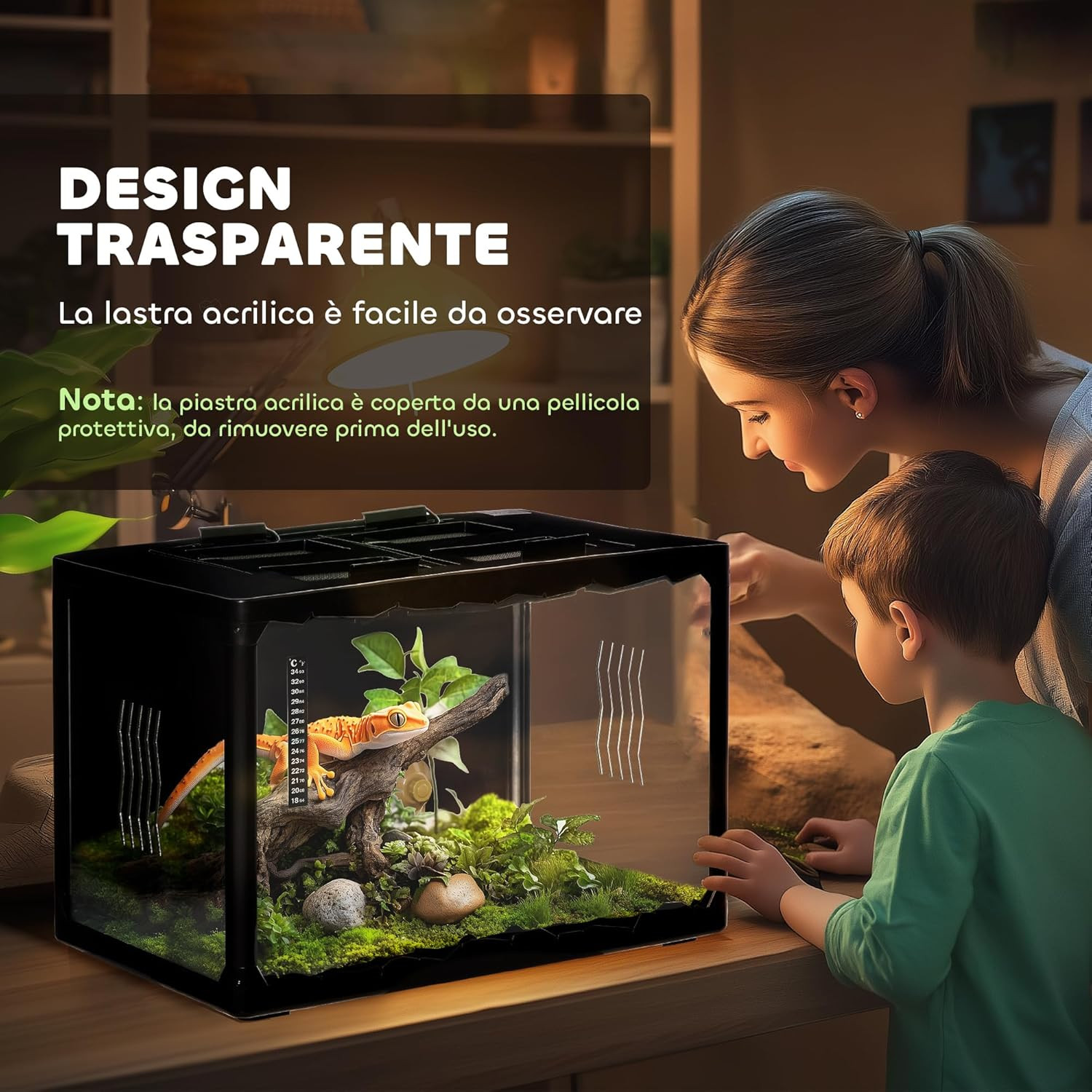 Terrario Design per Tartarughe e Rettili con Termometro Digitale - 3