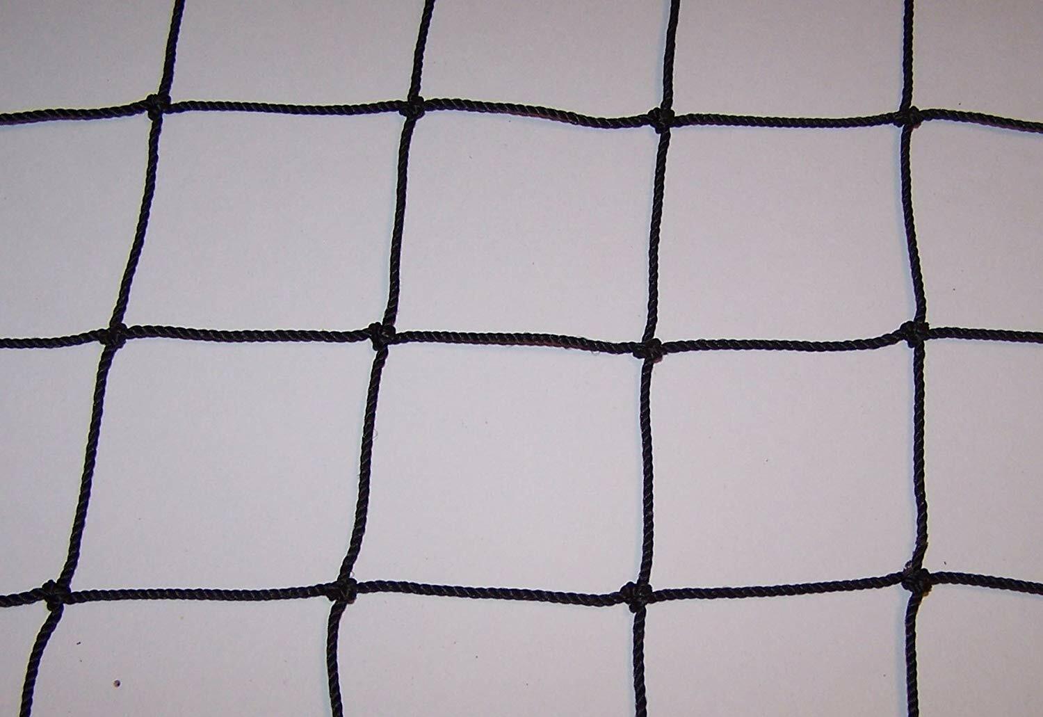 Foto 9 di 9