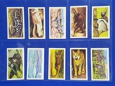 Brooke Bond PG Tips WILDLIFE IN DANGER BLACK BACK REPRINTS - Full Set of 50