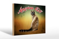 Holzschild Katze 30X20 Cm American Curl Holz Wanddeko Deko Schild Wooden Sign