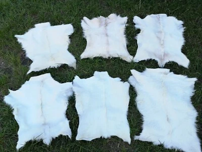 PROVELLUS Pelli di capra pelliccia di capra no odore ottima concia NATURA AFFARE