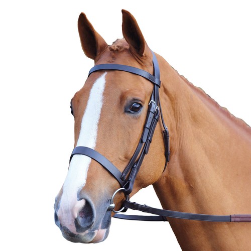 Bride De Cheval Kieffer Pour Sang Chaud - Noire, Cuir Allemand, état Comme Neuf